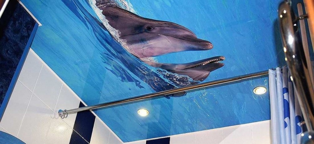 Натяжной потолок с фотопечатью. Изображение дельфинов